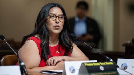 Select Committee on CA-Mexico Bi-National Affair