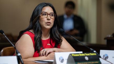 Select Committee on CA-Mexico Bi-National Affair