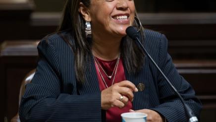 Select Committee on CA-Mexico Bi-National Affair